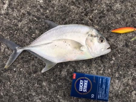 最近通ってるメッキ釣り