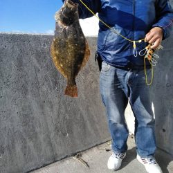 クリスマスプレゼント