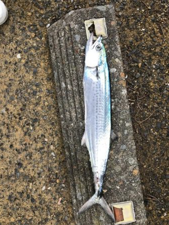 今日も絶好調！