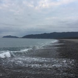 初ヒラメ…ソゲ。