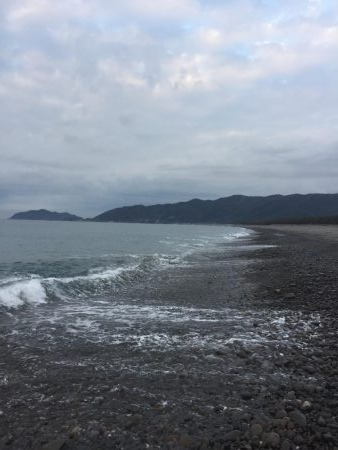 初ヒラメ…ソゲ。