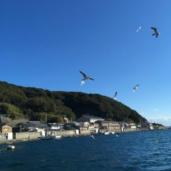 椿泊でフカセ釣り