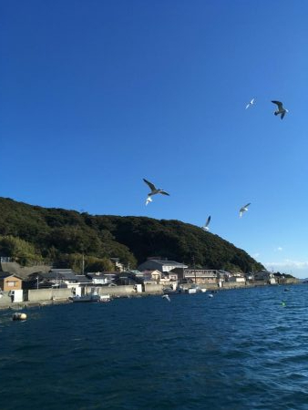 椿泊でフカセ釣り