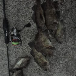 爆風メバリング