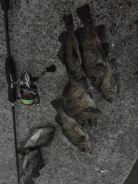 爆風メバリング