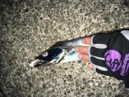 全然飽きません(笑)