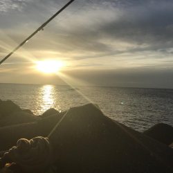 ショアジギングで狙うも