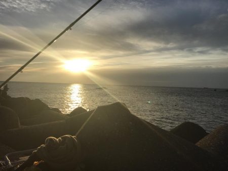 ショアジギングで狙うも