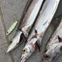 南風の中でヤツが来た