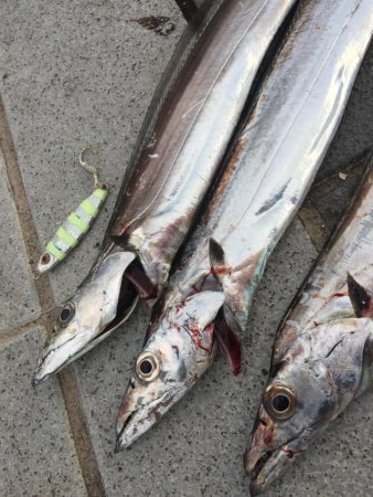 南風の中でヤツが来た