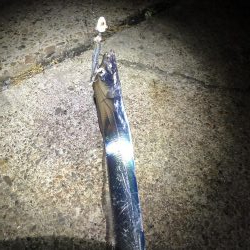 寒波が来る前に