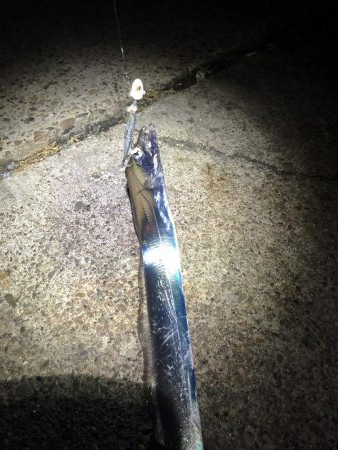 寒波が来る前に