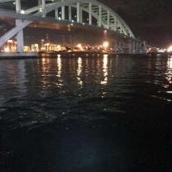 タチウオ終盤戦