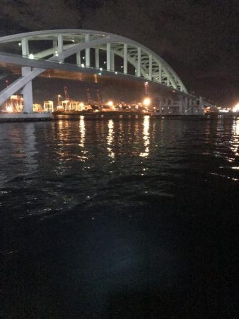 タチウオ終盤戦