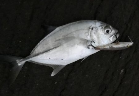 久しぶりにメッキ！