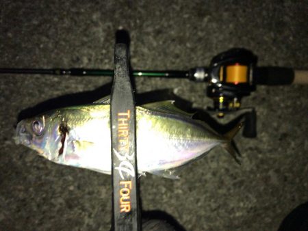 ベイトでアジング