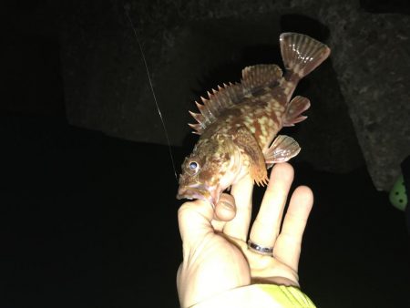 今日も1時間だけ！