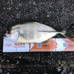 メッキ遊び楽しー