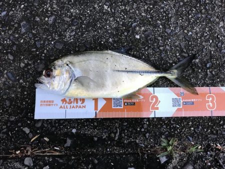 メッキ遊び楽しー