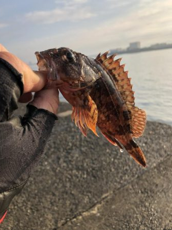 このままでは終われなーい！