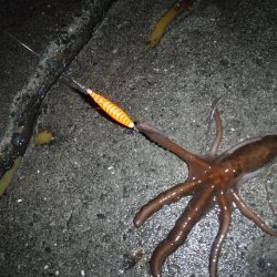 ヒイカ偵察 不発