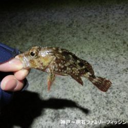 激寒の中何とかメバル