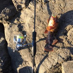 寝坊からのガシリング