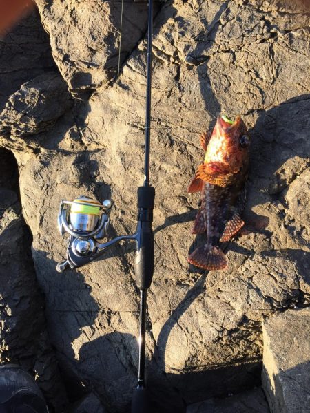 寝坊からのガシリング