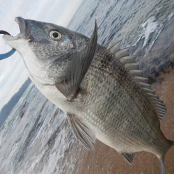 ワームを投げると…