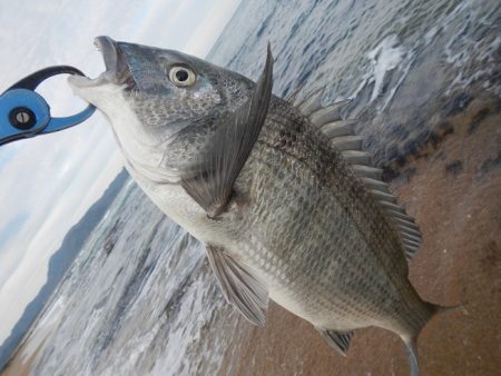 ワームを投げると…