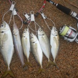 イマイチな感じ