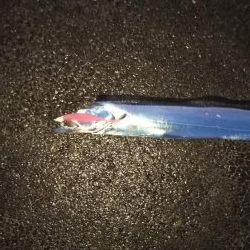 誘いと深めのタナでまだいける!