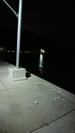 ダイソー メバリング