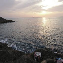 方座浦でグレ釣り