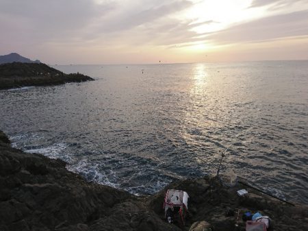 方座浦でグレ釣り