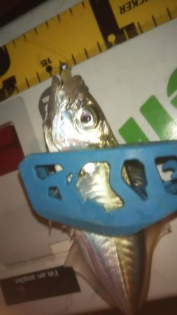 仕事帰りアジング