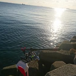 釣り納めフカセ