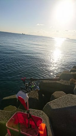 釣り納めフカセ