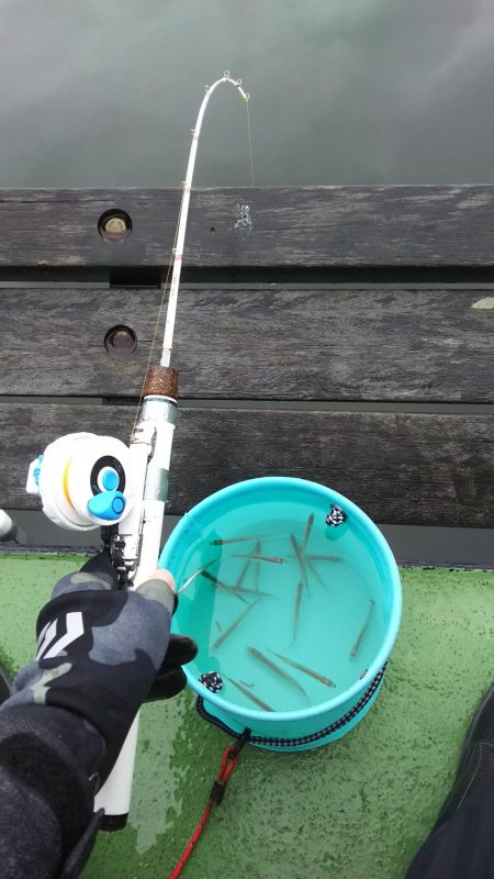 ワカサギ釣り