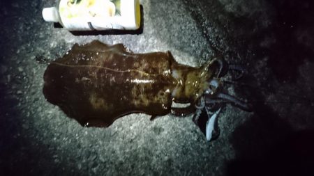 久しぶりのキロアップ