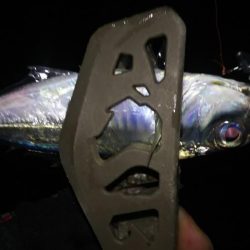 姫路寒空アジング