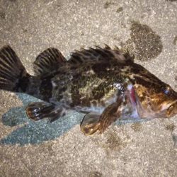 クリスマスライトゲーム