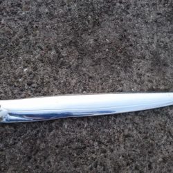 泉大津エリアで貴重なタチウオ