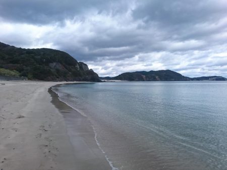 三重ヒラメ調査