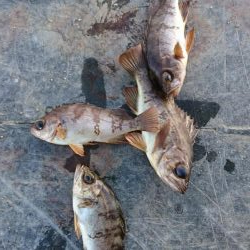 ライト・ワインド