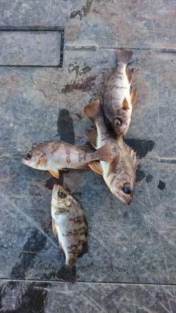 ライト・ワインド