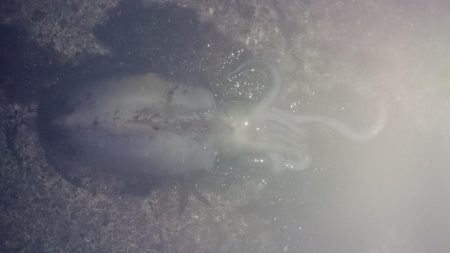 当たりが少なくしぶい日でした。