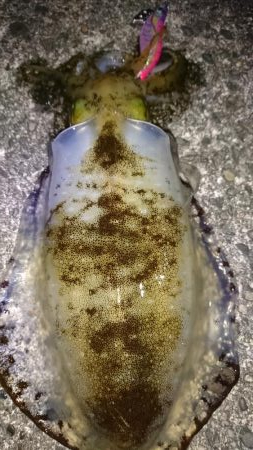 諦めかけたその時！3