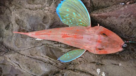 予想外の一撃！