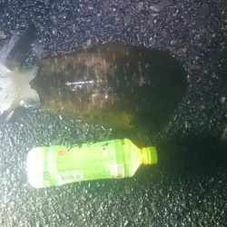 サイズアップしてきいてます。